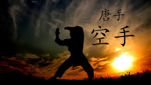 Image result for Kyokushinkai Karate Bradford