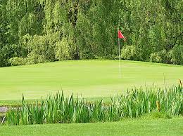 Image result for Avro Golf Club