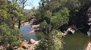 Billedresultat for kakadu n...