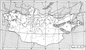 Attēlu rezultāti vaicājumam “Belbodamaeus sp.”