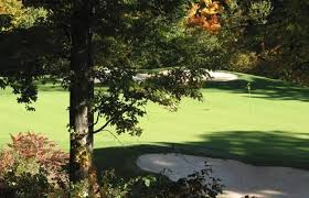 Image result for York University Golf Club