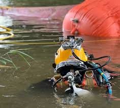 Image result for Dive Solutions, London