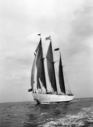 Image result for Xarifa