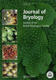 Attēlu rezultāti vaicājumam “Calliergon megalophyllum”