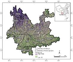 Image result for Meir Heath Cc