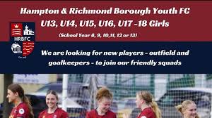 Image result for Burpham Juniors Fc