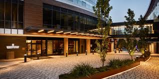 Image result for Bellevue