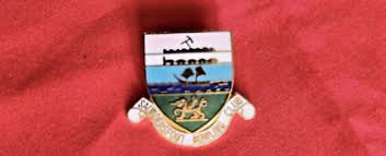 Image result for Saundersfoot Bowling Club