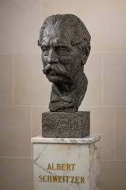 Image result for albert schweitzer
