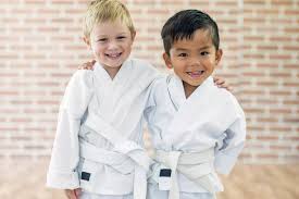 Image result for Norfolk Karate