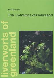 Attēlu rezultāti vaicājumam “Jungermannia sphaerocarpa”