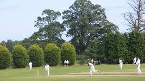 Image result for Brewood Cricket Club