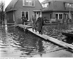 Image result for zeeland 1953