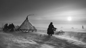 Image result for sebastiao salgado