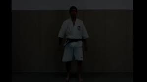 Image result for Haxby karate club