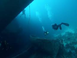 Image result for St. Albans Snorkelling Club (SASC)