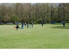 Image result for Buscot Park Cricket Club