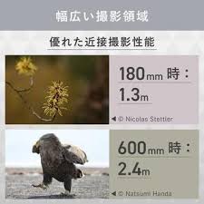 「ラクス・レストリネ・ハ・キリウス」の画像検索結果