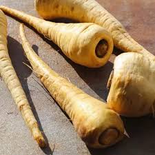 Image result for Pastinake