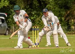Image result for Halstead Cricket Club