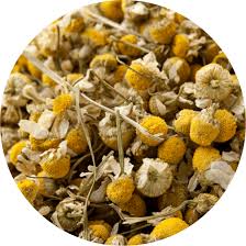 Attēlu rezultāti vaicājumam “Matricaria chamomilla flower”