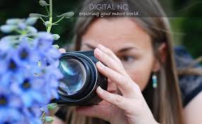 Attēlu rezultāti vaicājumam “Licea minima macro”