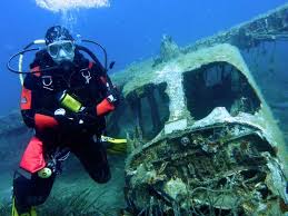 Image result for Headstream Divers