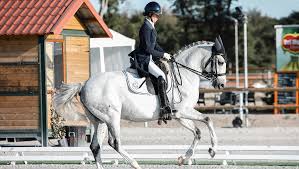 Image result for Woodhill Riding Club