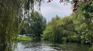 Image result for Taverham Archers