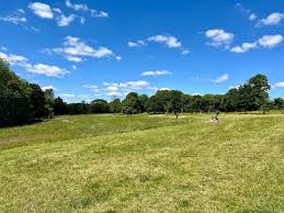 Image result for Elthorne Cricket Club