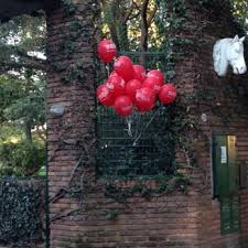 Image result for Black Horse Ballooning Club