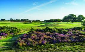 Image result for Teignmouth Golf Club Limited