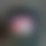 「風見みずほ おねがい☆ティーチャー」の画像検索結果