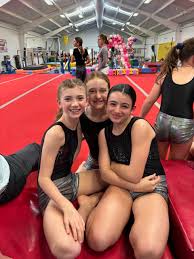 Image result for Harnham Gymnastics Club