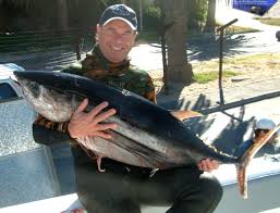 Image result for Thunnus alalunga