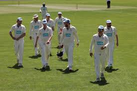 Image result for Bere Regis Cricket Club