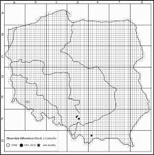 Attēlu rezultāti vaicājumam “Moerckia hibernica”