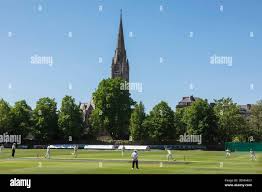 Image result for Fareham and Crofton Cricket Club