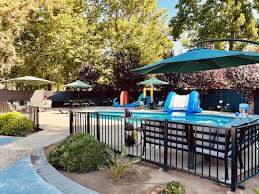 Image result for Stockton Swimming Club