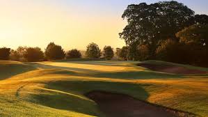 Image result for Abernethy Golf Club