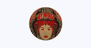 Image result for Acrobrats