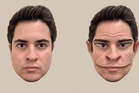 Image result for faces