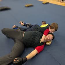 Image result for Hull Kung Fu