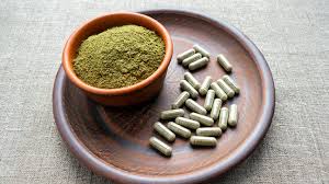 Attēlu rezultāti vaicājumam “Capsus ater imago”