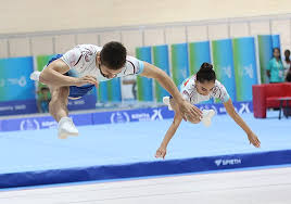 Image result for Flyin Scots Aerobic Gymnastics Club