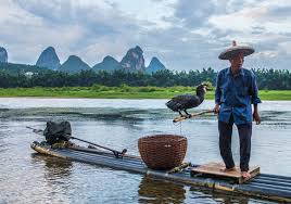 Image result for li river