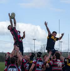 Image result for Dunstablians Rugby Union Football Club