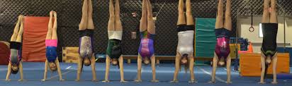Image result for Epping Forest Elite Gymnastics Club