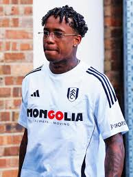 Image result for Fulham Football Club