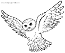 Owl coloring page